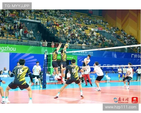 广州排球队实力对比深度解析及未来发展趋势探讨